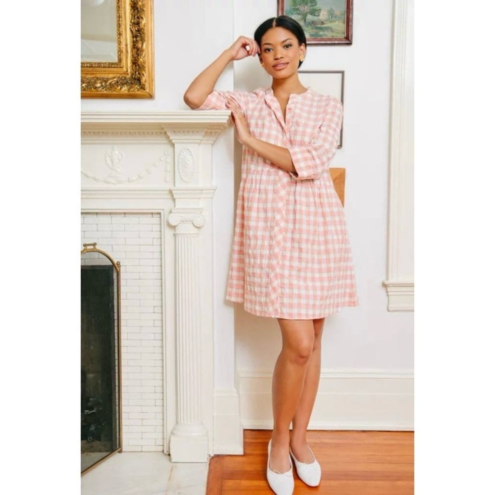 Tuckernuck Pink Gingham Mini Dress